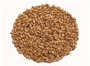 Abbey Malt 40 - 50 EBC Weyermann 0,5 kg drvený