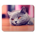 Podložka pod myš s mačkou, CATS