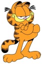 NÁLEPKA NA OKENNÉ SKLO ZRKADLO MAČKA GARFIELD KAT