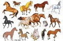 Odnímateľné tetovanie pre deti HORSES CG543