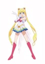 Plagát Bishoujo Senshi Sailor Moon bssm_111 A3