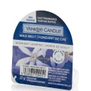 Yankee Candle Midnight Jasmine Wax 8h 22g