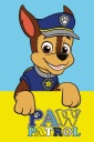 Paw Patrol uterák na ruky 30x50