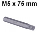 Bit 10 mm RIBE M5 x 75 mm D10R75M05A Jonnesway