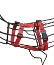 Postroj Guard Sunka Basic I pre psov M-L