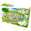 Xylitol práškové dražé zelené jablko 40g