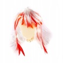 Parochňa s DLHÝmi VLASMI A ČERVENO BIELY DISPOSSIEM