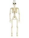 HALLOWEENSKÝ KOSTR ZÁVISNÝ DEKORÁCIA 40 CM