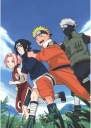 Plagát Anime Manga Naruto nrto_001 A3