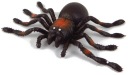 Gumový pavúk tarantule s hráškom 16p