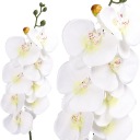 ORCHIDEA ORCHIDEA Vetvička LIVING QUALITY 90cm
