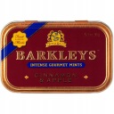 Cukríky Barkleys Apple Cinnamon Pastilky z USA