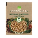 Semená klíčkov EKO Wszenica Dary Natury, 50g