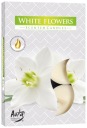 Bispol HEATERS p15 vôňa WHITE FLOWERS 4h