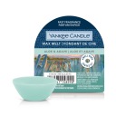 Yankee Candle ALOE & AGAVE vonný vosk 22g