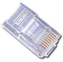 Zástrčka RJ45 UTP cat 5e (balenie 50 ks) Gembird