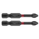 NÁRAZOVÉ HROTY PH2 X 50 MM 2 KUSY 56H519 GRAFIT