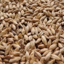 Slad na sušienky 0,5 kg Viking Malt - Nestrelený