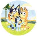 BLUEY BINGO NARODENINOVÉ PAPIEROVÉ TANIERKY 8 ks