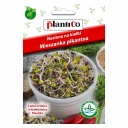 SEMIENKA NA KLÍČKY KORENITÝ MIX 30G