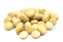 Makadamový orech, makadamový (Style 1S) 100g