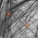 HALLOWEEN SPIDER WEB ČIERNA 2 ORANŽOVÉ PAVÚKY 20 GRAMOV DEKORÁCIA