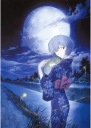 Anime Plagát Neon Genesis Evangelion nge_013 A3