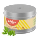 Sviečka v plechovke 49/80 Citronella žltá, ozdobný Bolsius pre KOMÁRE