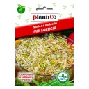 SEMIENKA NA KLÍČKY ENERGETICKÝ MIX 20g