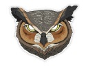 Papierová maska ​​na tvár Party Deco MASP5 Owl