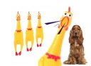 Hračka pre psa RUBBER SQUEAKY CHICKEN S SCREAMING
