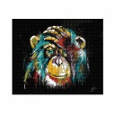 Diamantové vyšívanie Diamant 30x40cm Monkey DPX-11532