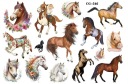 Odnímateľné tetovanie pre deti HORSES CG546