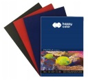 HAPPY COLOR pastel blok A4 160G 24 listov 3 farby