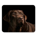 PODLOŽKA POD MYŠ PRE PSA LABRADOR