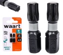 HROTY SKRUTKOVAČA T30 25 mm TORX NÁRAZOVÉ BITKY 2x