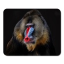 Podložka pod myš WILD ANIMALS BABOON