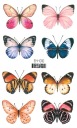 Umývateľné tetovanie pre deti BUTTERFLIES EH010