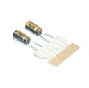 AUDIOFIL NICHICON FG Fine Gold 47uF/25V - 2 kusy (#596)