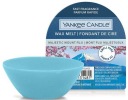 Yankee Candle Majestic Mount Fuji vonný vosk 22g