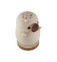SALT GLAYER PIPPER