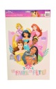 Ozdobná fóliová nálepka na okenný nábytok Disney Disney Princezné 40x27