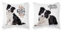 PLÁŠKA NA VANKÚŠ 40x40 PSÍKOV Border Collie