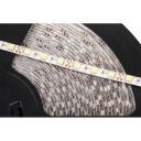 LED pásik 12V studená biela zaplavená 60/5050/1m ​​​​(25mb roll)