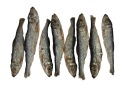 SPRAT PREMIUM sušené šproty pre psov a mačky 100g