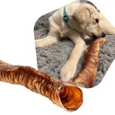 CHRUVKA PRE VEĽKÝCH PSOV PRÍRODNÁ HOVÄDZIA TRACHEA, VEĽKOSŤ XL