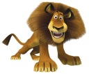 NÁLEPKA NA ZRKADLOVÉ OKNO TUČŇAKY Z MADAGASKARU