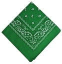 BANDAM BANDANA WRAP BANDAMA - zelená