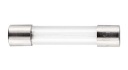 100maF SKLENENÁ POISTKA 30mm 250V (10KS)