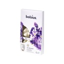 True Scents vonný vosk levanduľa a harmanček 6 ks Bolsius